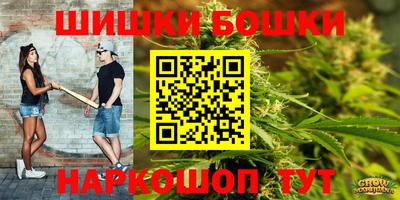 гидра Моздок