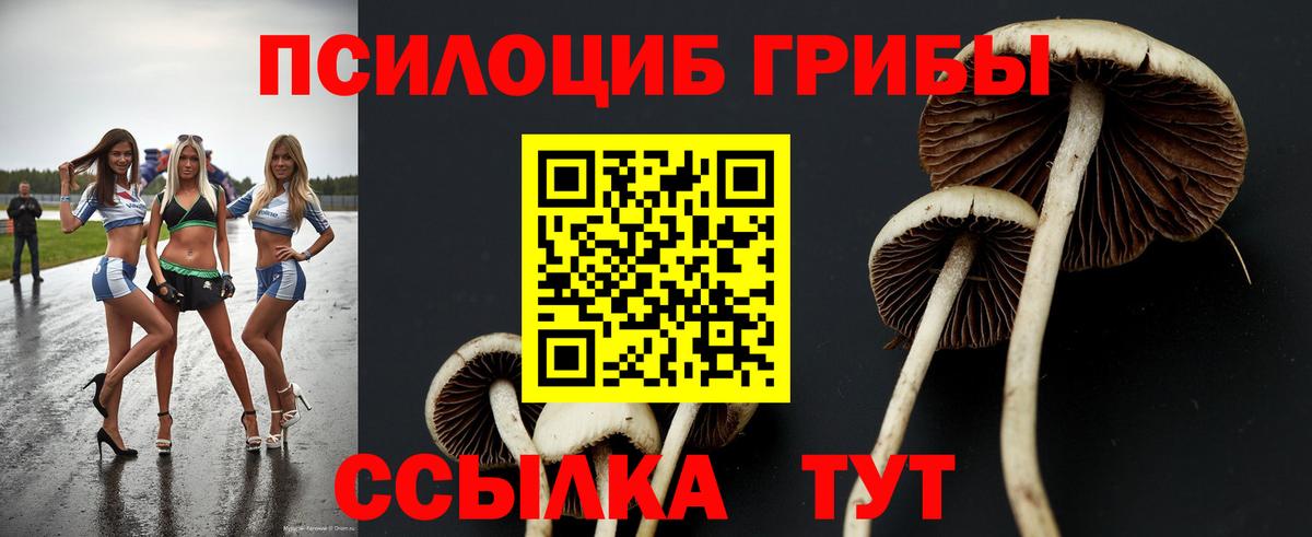 Псилоцибиновые грибы Cubensis Туймазы